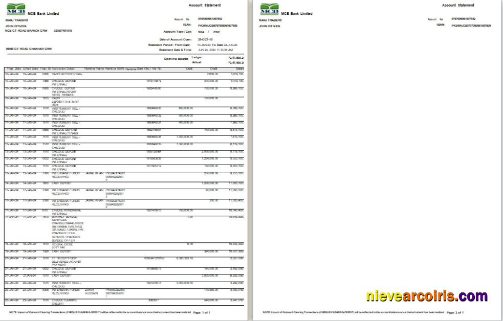 Pakistan MCB bank statement Word and PDF